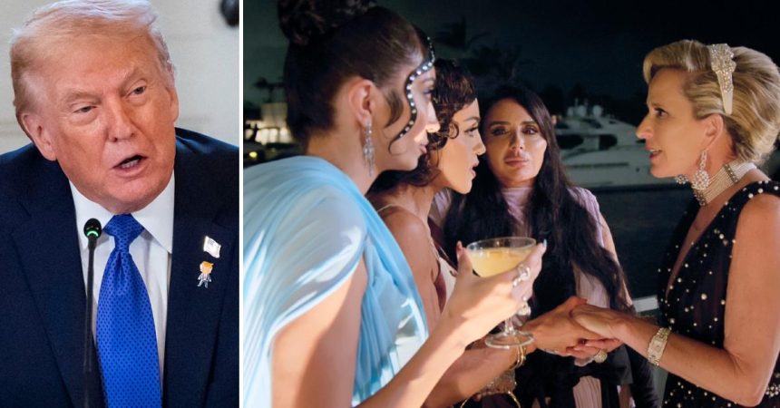 Netflix Star ‘Screamed’ At Trump As Secret Service ‘Removed’ Co-Star