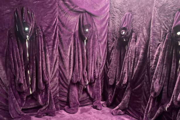 Nicola L.’s Soft Power