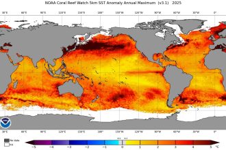 Ocean Temperatures Just Hit a Dire New Record