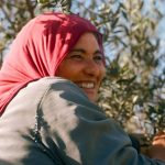 In Southern Tunisia, This Artist-Led Farm Is Using Olive Oil to Create Change