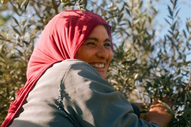 In Southern Tunisia, This Artist-Led Farm Is Using Olive Oil to Create Change