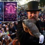 PETA wants Punxsutawney Phil to be replaced by a hologram