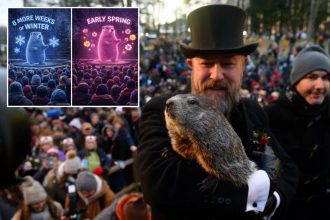 PETA wants Punxsutawney Phil to be replaced by a hologram