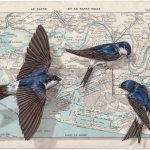 Paintings on Antique Navigational Tools Are a Poetic Nod to Bird Migration by Steeven Salvat — Colossal