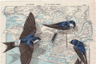 Paintings on Antique Navigational Tools Are a Poetic Nod to Bird Migration by Steeven Salvat — Colossal