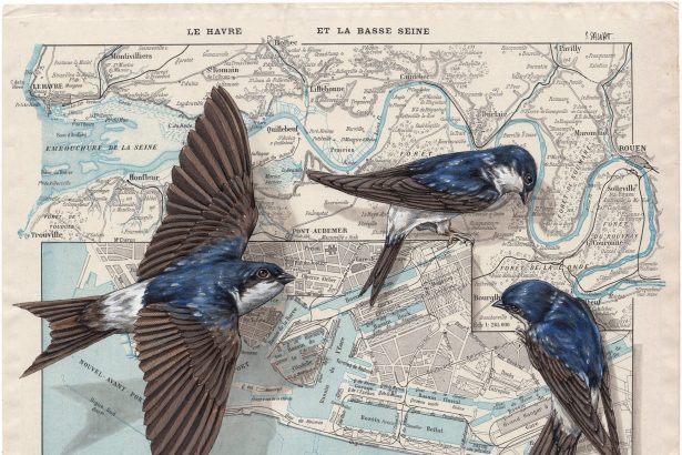 Paintings on Antique Navigational Tools Are a Poetic Nod to Bird Migration by Steeven Salvat — Colossal