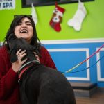 Pawsitive Recovery finds pet fosters for people in addiction recovery