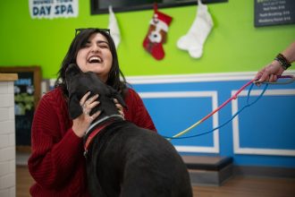 Pawsitive Recovery finds pet fosters for people in addiction recovery