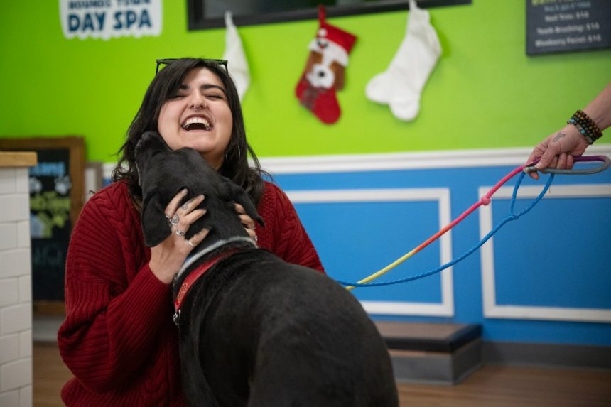 Pawsitive Recovery finds pet fosters for people in addiction recovery