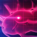 Peptide Treatment Protects Brains After Stroke, Mouse Study Finds : ScienceAlert