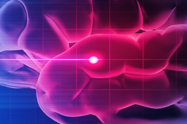 Peptide Treatment Protects Brains After Stroke, Mouse Study Finds : ScienceAlert
