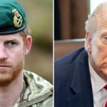 Prince Harry Goes Off On Trump After Prez Questions NATO Role After 9/11