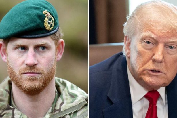 Prince Harry Goes Off On Trump After Prez Questions NATO Role After 9/11