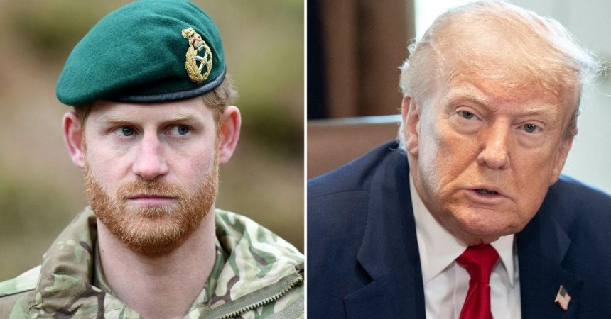 Prince Harry Goes Off On Trump After Prez Questions NATO Role After 9/11