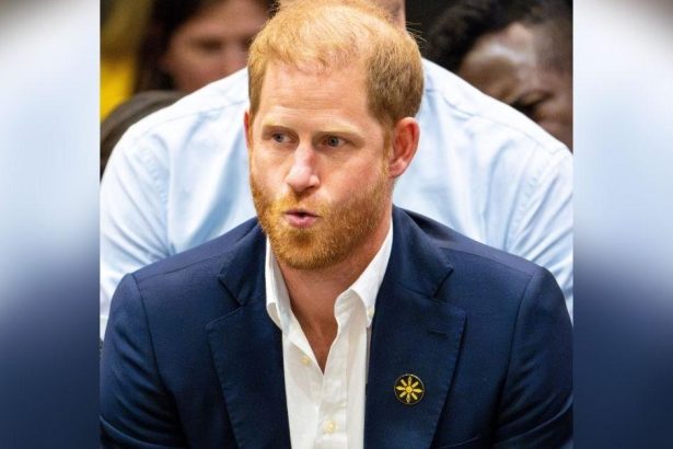 Prince Harry’s Legal Team Accused of ‘Intimidating’ Private Investigator