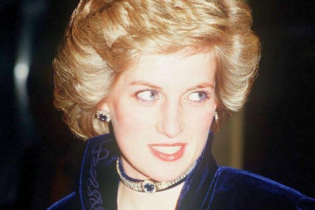 Princess Diana Died Haunted By Event She Believed Hurt William And Harry