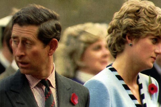 Princess Diana Pinpointed Who Was to Blame For Collapse of Her Marriage
