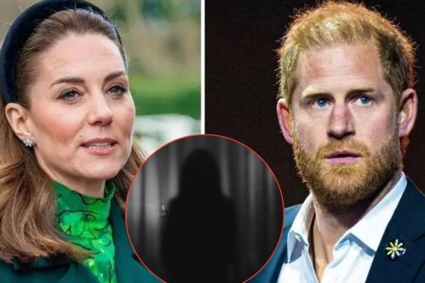Princess Kate is ‘Deeply Disturbed’ by Her and Harry’s Stalker Terrors