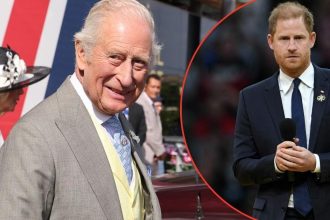Read King Charles’ Four-Word Response To Prince Harry’s Funding Demands
