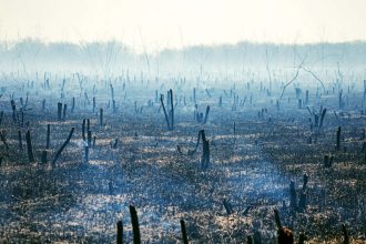 Read an extract from Juice by Tim Winton
