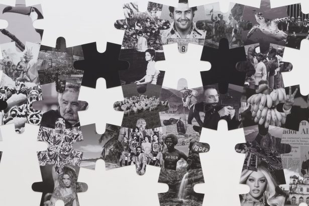 Regina Silveira Pieces Together an Evolving Narrative of Latin America — Colossal