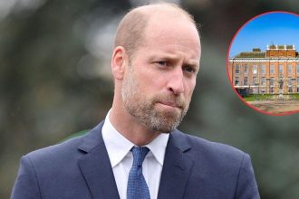 Royal Security Blasted After Prince William’s Stalker Scaled Fence