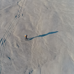 “Sandcastles” Tells the Tale of Two Singapores