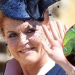Sarah Ferguson Mocked Over Fear of Snakes Stopping Australia Move