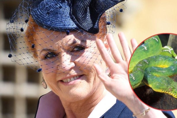 Sarah Ferguson Mocked Over Fear of Snakes Stopping Australia Move