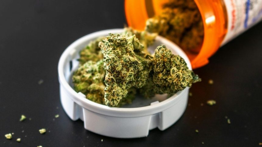 Scientists Figured Out a Standard Measure For Cannabis Use : ScienceAlert