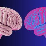 Scientists Identify Brain Waves That Define The Limits of ‘You’ : ScienceAlert