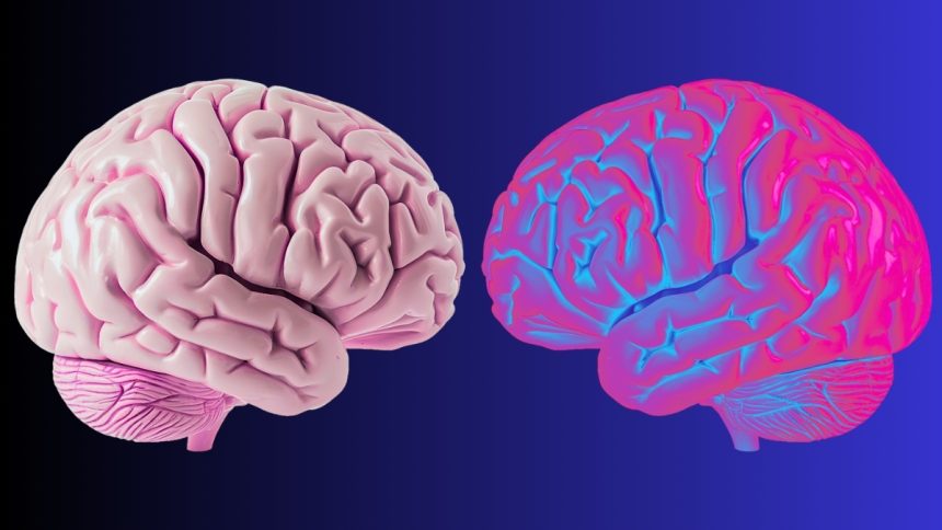 Scientists Identify Brain Waves That Define The Limits of ‘You’ : ScienceAlert