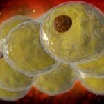 Scientists Identify an Epigenetic Switch That Can Slow Production of Fat Cells : ScienceAlert