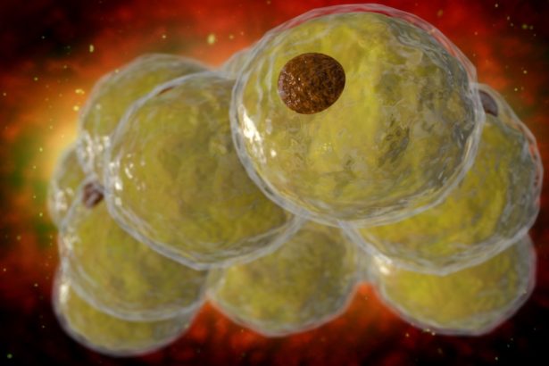 Scientists Identify an Epigenetic Switch That Can Slow Production of Fat Cells : ScienceAlert