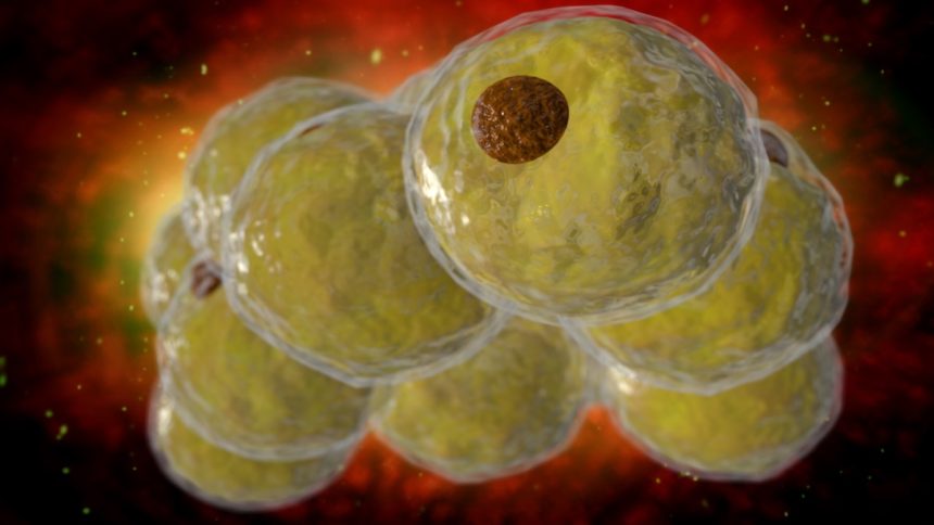 Scientists Identify an Epigenetic Switch That Can Slow Production of Fat Cells : ScienceAlert