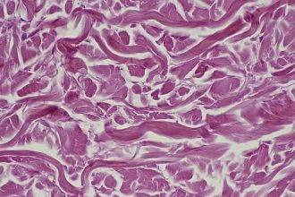 Scientists May Have Found a Blueprint to Revive Old Cells : ScienceAlert