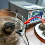 Scientists investigate ‘dark oxygen’ in deep-sea mining zone