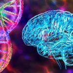 Several Psychiatric Disorders Share The Same Root Cause, Study Suggests : ScienceAlert