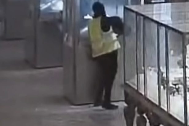 Shocking New Louvre Heist Footage Released to the Public