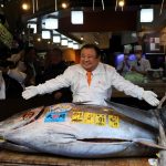 Single tuna sells for record .6m at Tokyo fish market
