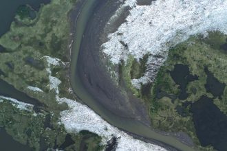 Sinking trees in Arctic Ocean could remove 1 billion tonnes of CO2