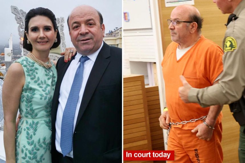 SoCal tech CEO killed wife to stop her giving millions to their sons, court docs claim