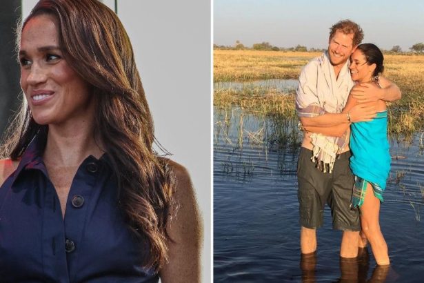 Social Media Roasts Meghan Markle After Joining Nostalgic 2016 Trend