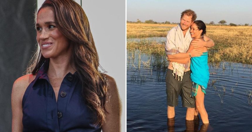 Social Media Roasts Meghan Markle After Joining Nostalgic 2016 Trend