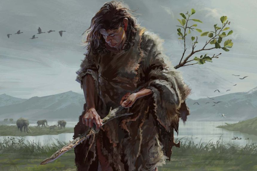 Stick shaped by ancient humans is the oldest known wooden tool