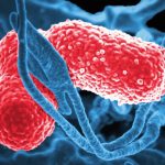 Study Confirms Why Some People Get Drunk Without Touching Alcohol : ScienceAlert