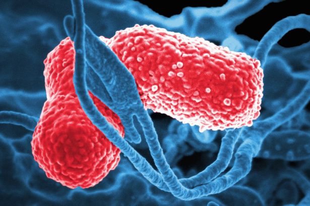 Study Confirms Why Some People Get Drunk Without Touching Alcohol : ScienceAlert