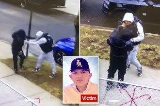 Teen charged in fatal NYC stabbing had just been cut loose without bail: DA