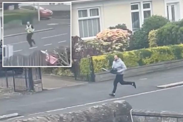 Terrifying video shows maniac chasing UK cop with a chainsaw