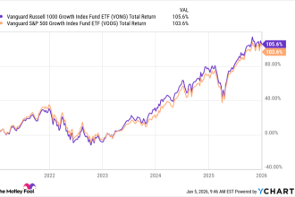 The Best Vanguard Growth Stocks ETF to Buy and Hold